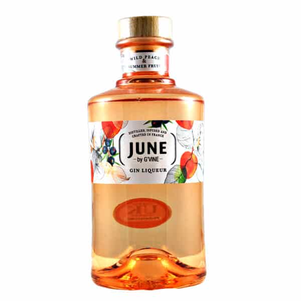 June by G'vine Gin & Dispenser